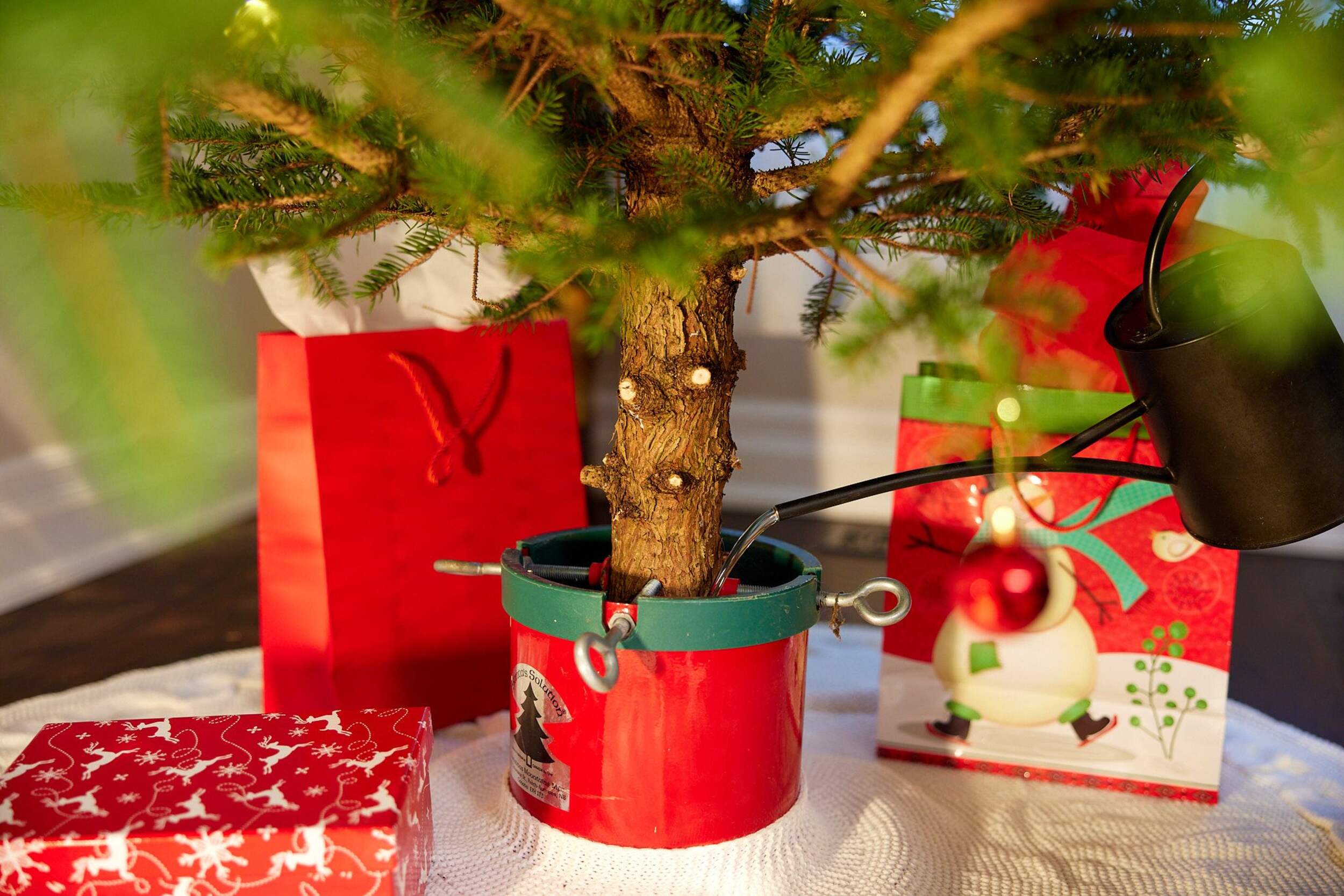 Scotts Miracle Gro Christmas Tree Preserve, 236mL Canadian Tire