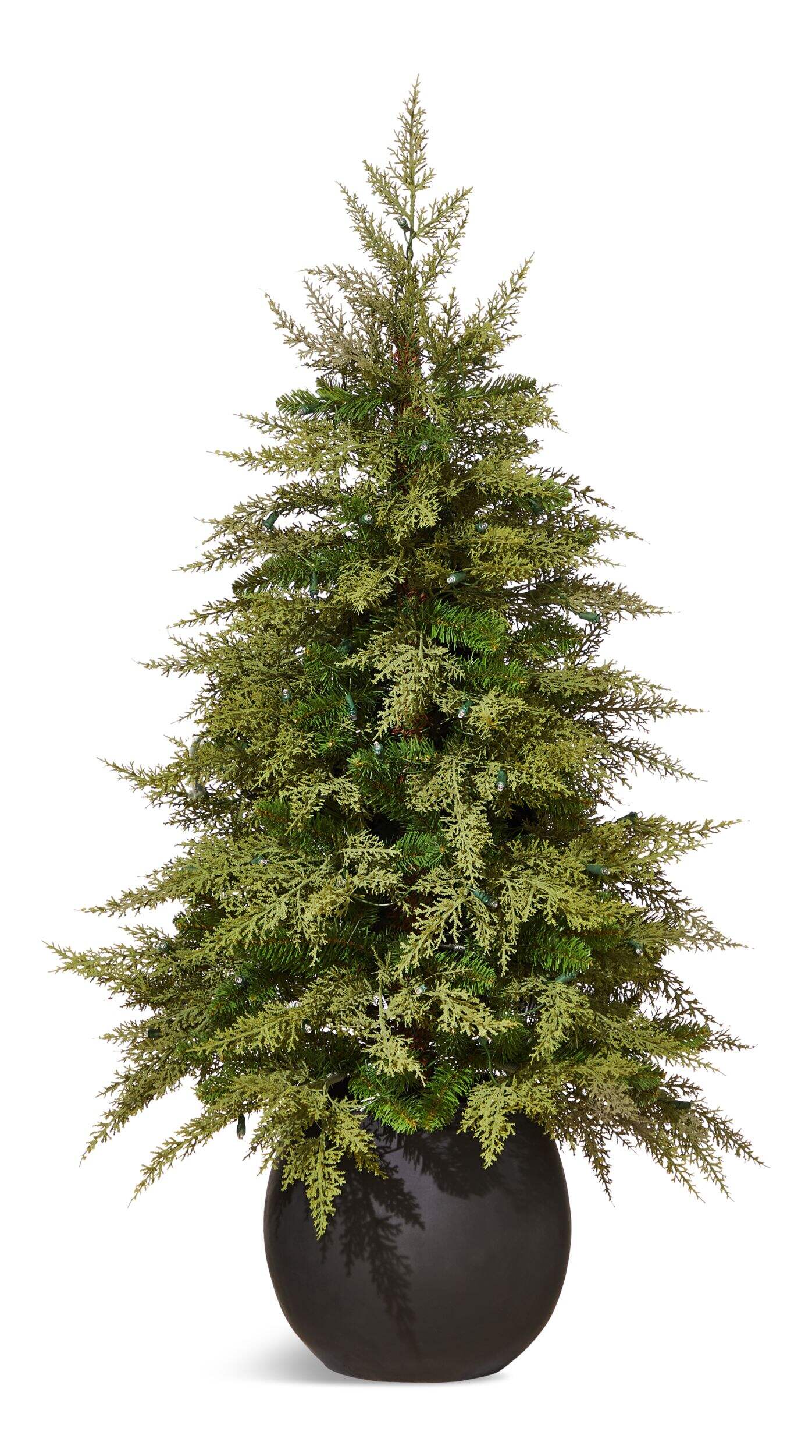 CANVAS Pre-Lit Indoor Cedar Christmas Tree in Black Round Pot, 70 LED Lights, 4-ft Front_Flat