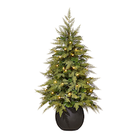 CANVAS Pre-Lit Indoor Cypress Potted Christmas Tree, 70 LED Lights, 4-ft Front_Flat
