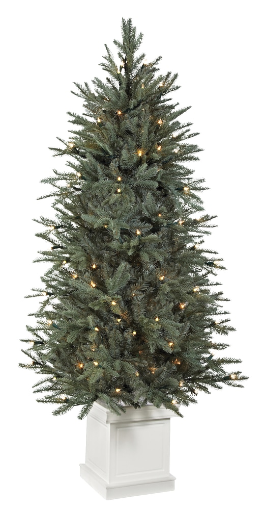CANVAS PreLit Bathurst Spruce Potted Tree, 5ft Canadian Tire