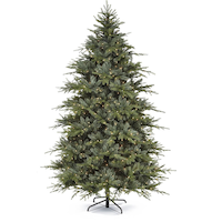 CANVAS Pre-Lit Harrison Noble Fir Tree, 7.5-ft Front_Flat