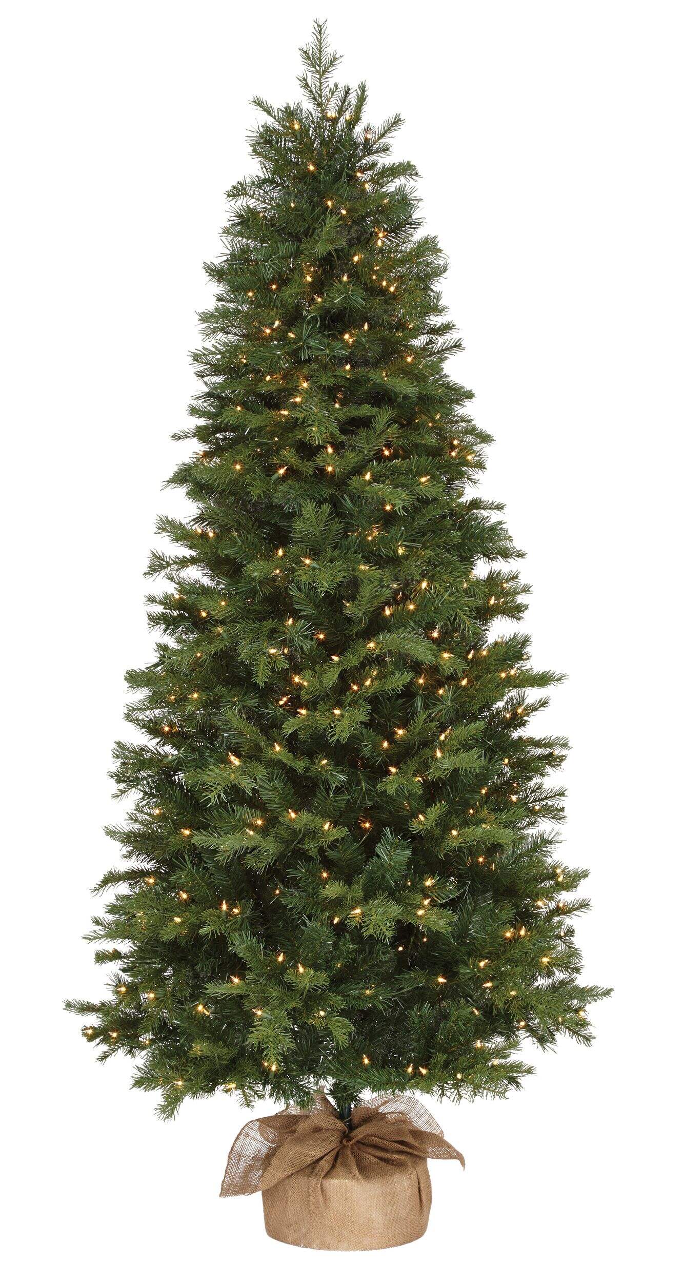 CANVAS Pre-Lit Berkeley Fir Tree, 7-ft Front_Flat