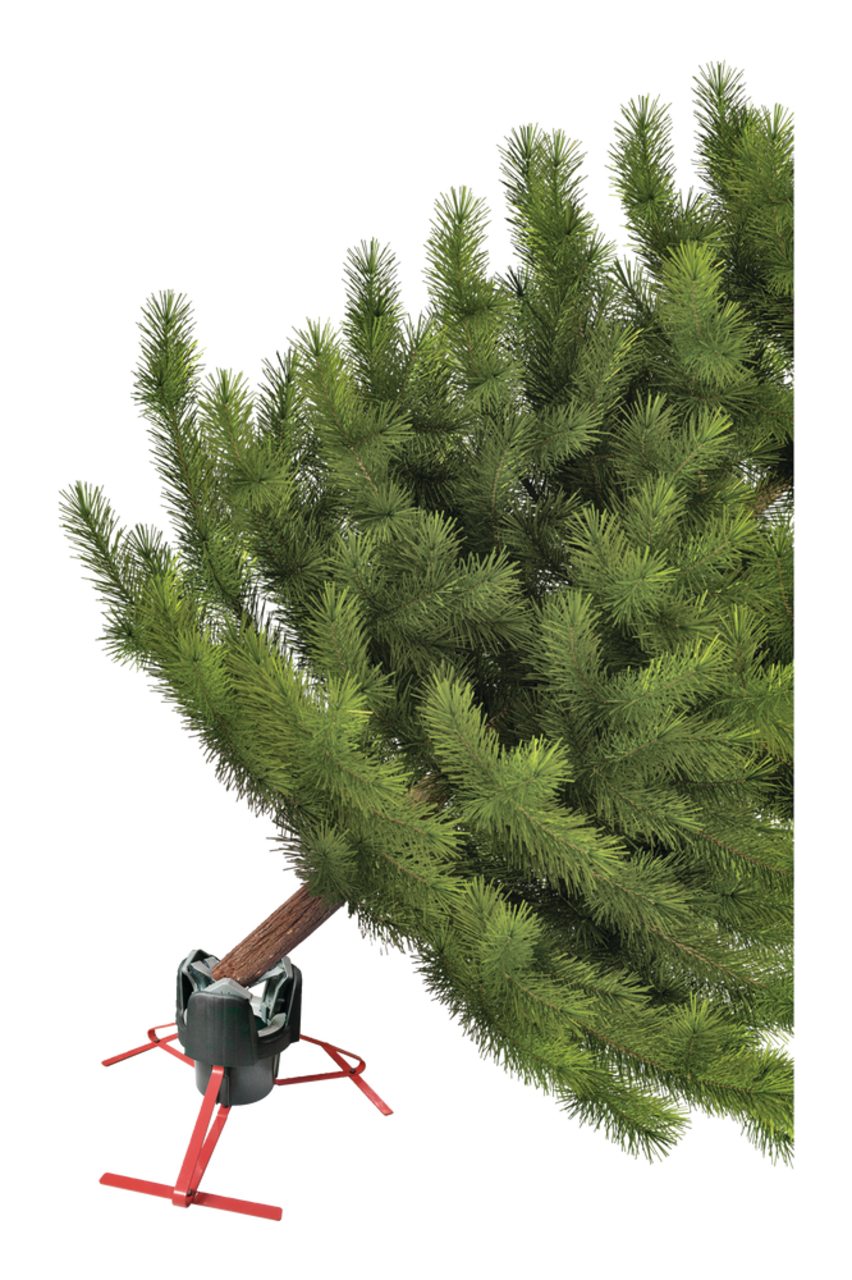 https://media-www.canadiantire.ca/product/seasonal-gardening/seasonal/christmas-trees/1517111/noma-small-quick-stand-8981bd0d-beff-4f92-9003-616530190421.png?imdensity=1&imwidth=1244&impolicy=mZoom