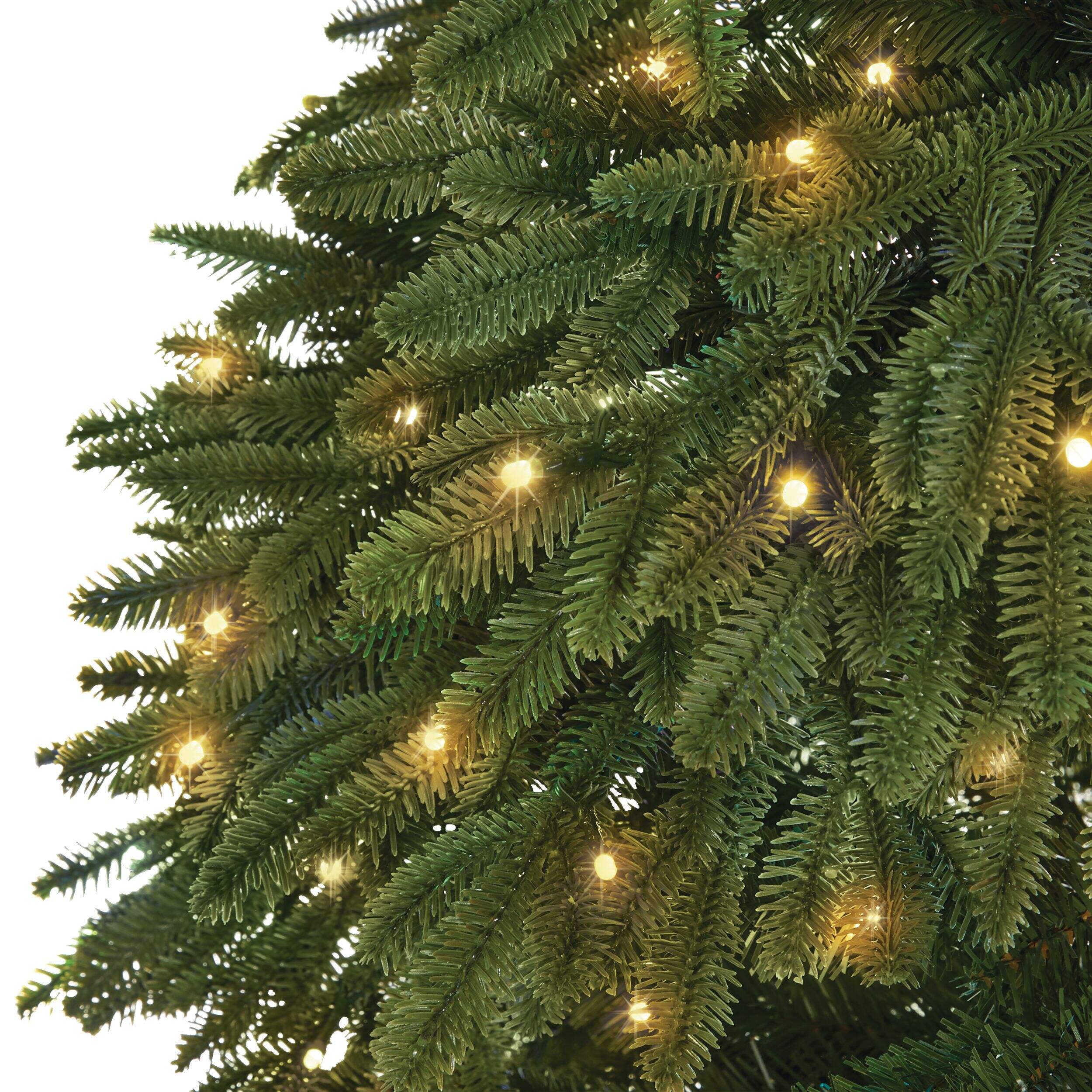 NOMA Advanced Aurora Music & Light Show Christmas Tree, 600 Multi