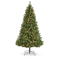 NOMA Dresden - Sapin de Noël illuminé avec support, 450 ampoules DEL, multicolore, 7 pi Front_Flat