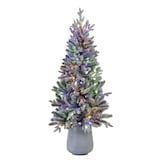 NOMA Pre-Lit Halston Potted Christmas Tree, 100 Colour-Changing LED Lights, 4-ft Front_Flat