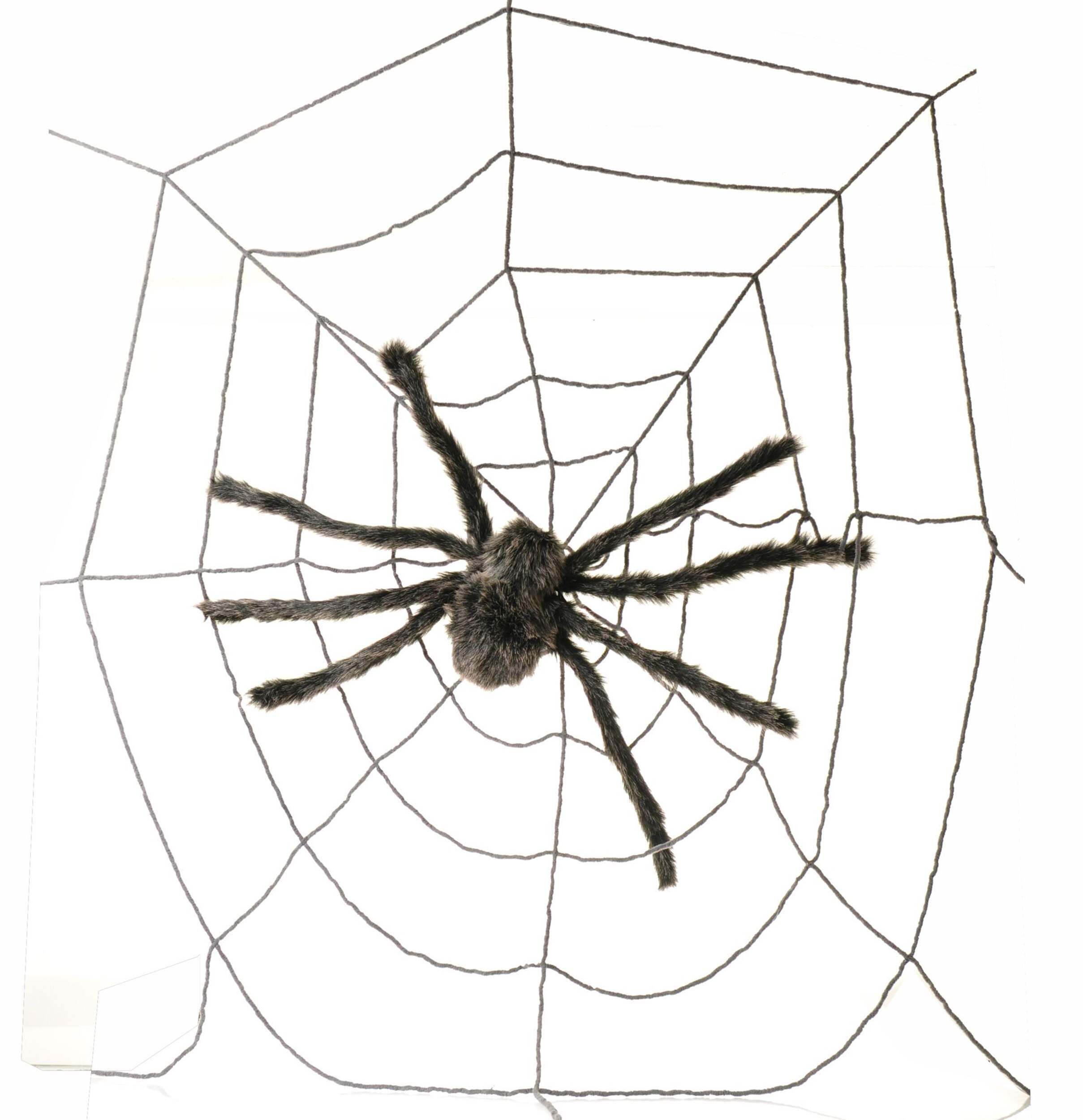 For Living Giant Spider in Web Black, 60-in, 2-pk, Indoor/Outdoor Decoration for Halloween Front_Flat