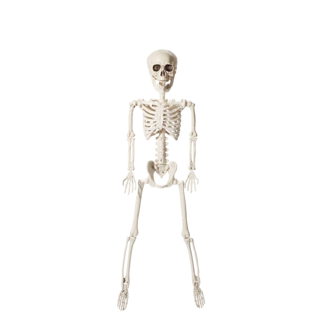Squelette humain pleine grandeur suspendu For Living, blanc, 23-1/2 pi,  décoration d'intérieur et d'extérieur pour l'Halloween