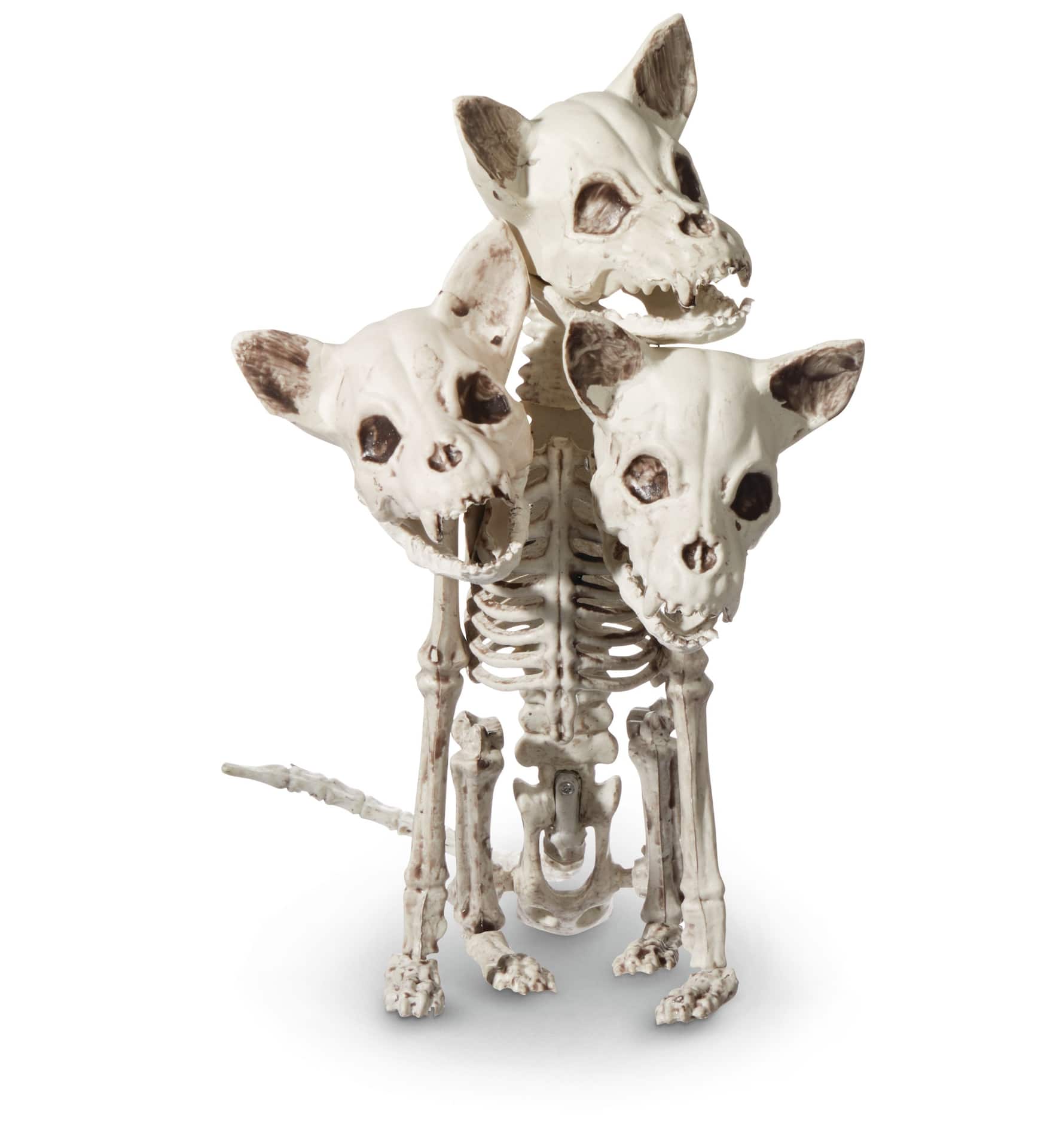 For Living Skeleton Dog Three Headed Prop, White, 12 3/4-in, Indoor/Outdoor  Decoration for Halloween
