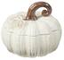 CANVAS Ceramic Pumpkin Container with Wheat Texture, 18-cm Front_Elevated