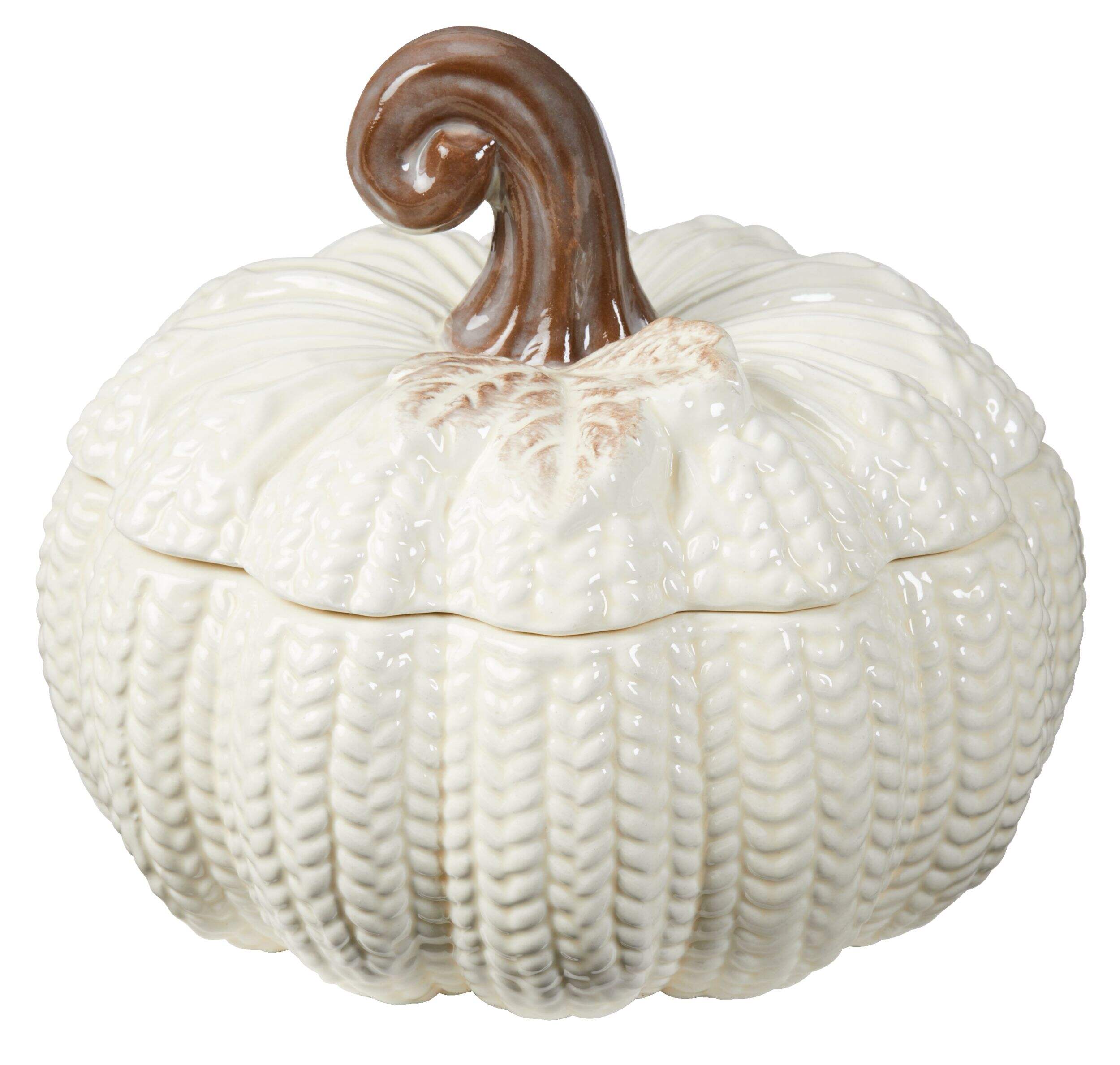 CANVAS Ceramic Pumpkin Container with Wheat Texture, 15-cm Front_Elevated