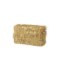 Small Bale of Hay, Beige, 6-in, Indoor/Outdoor Decoration for Fall Front_Angled_Left