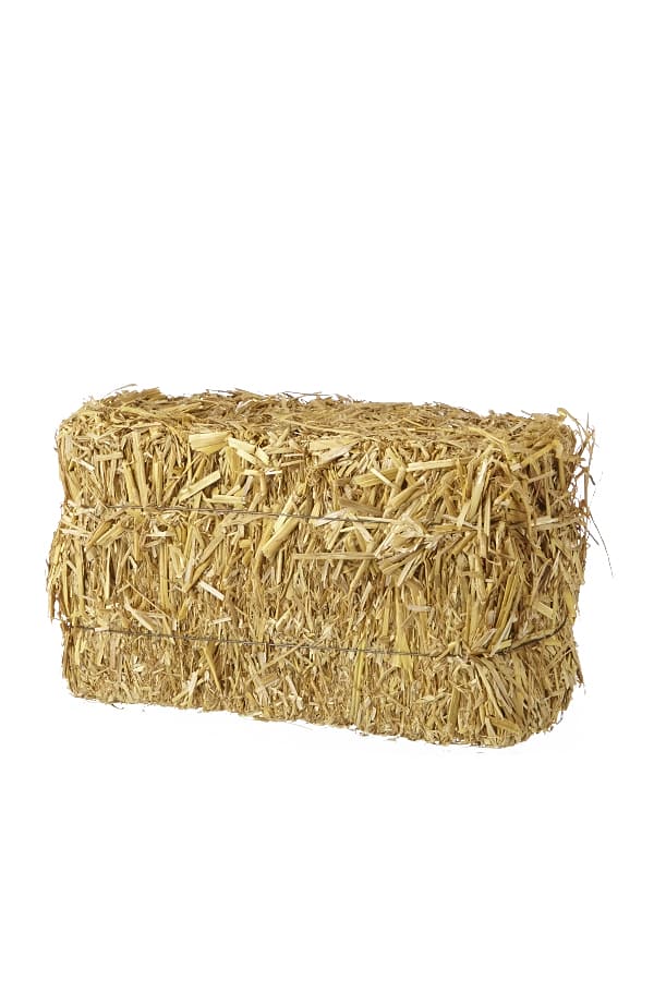 Small Bale Of Straw 6 In X 6 In X 12 In Canadian Tire