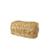 Grande botte de foin, beige, 9 po, décoration intérieure/extérieure pour l'automne Front_Angled_Left