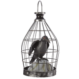 Corbeau animé en cage Gemmy avec lumière DEL, activé par le son et la lumière, décoration d'intérieur et d'extérieur pour l'Halloween, noir, 8 1/4 po Front_Angled_Right