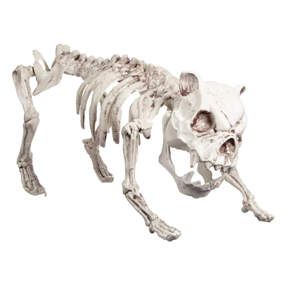 Holiday Collection Skeleton Animals, Assorted 