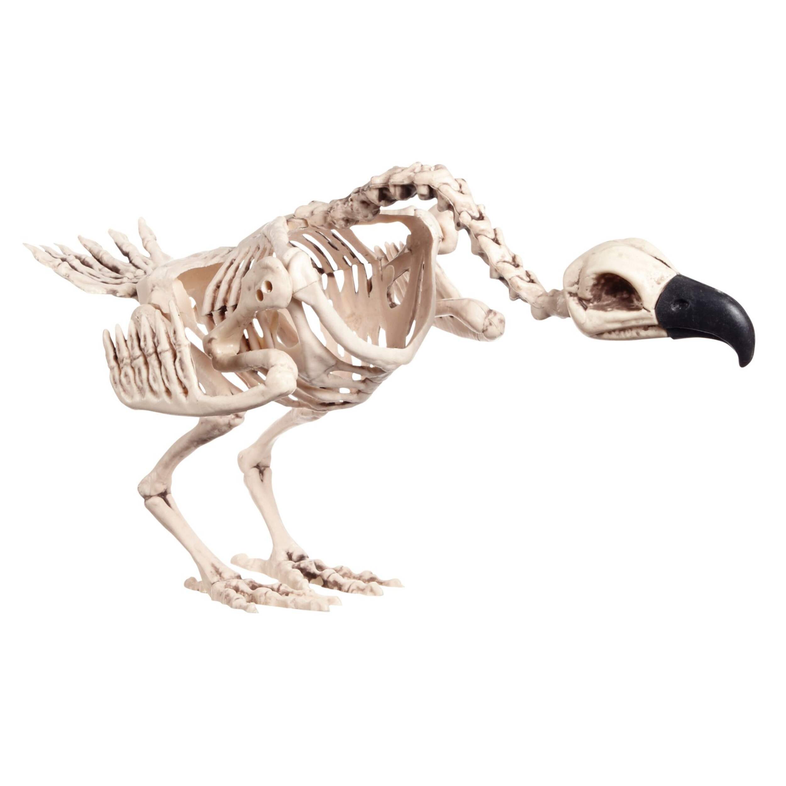 Holiday Collection Skeleton Animals, Assorted Front_Angled_Right