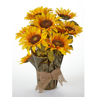 Sunflower in Foil Pot, 22-in Front_Elevated