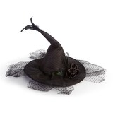 Animated Witches Hat Front_Elevated