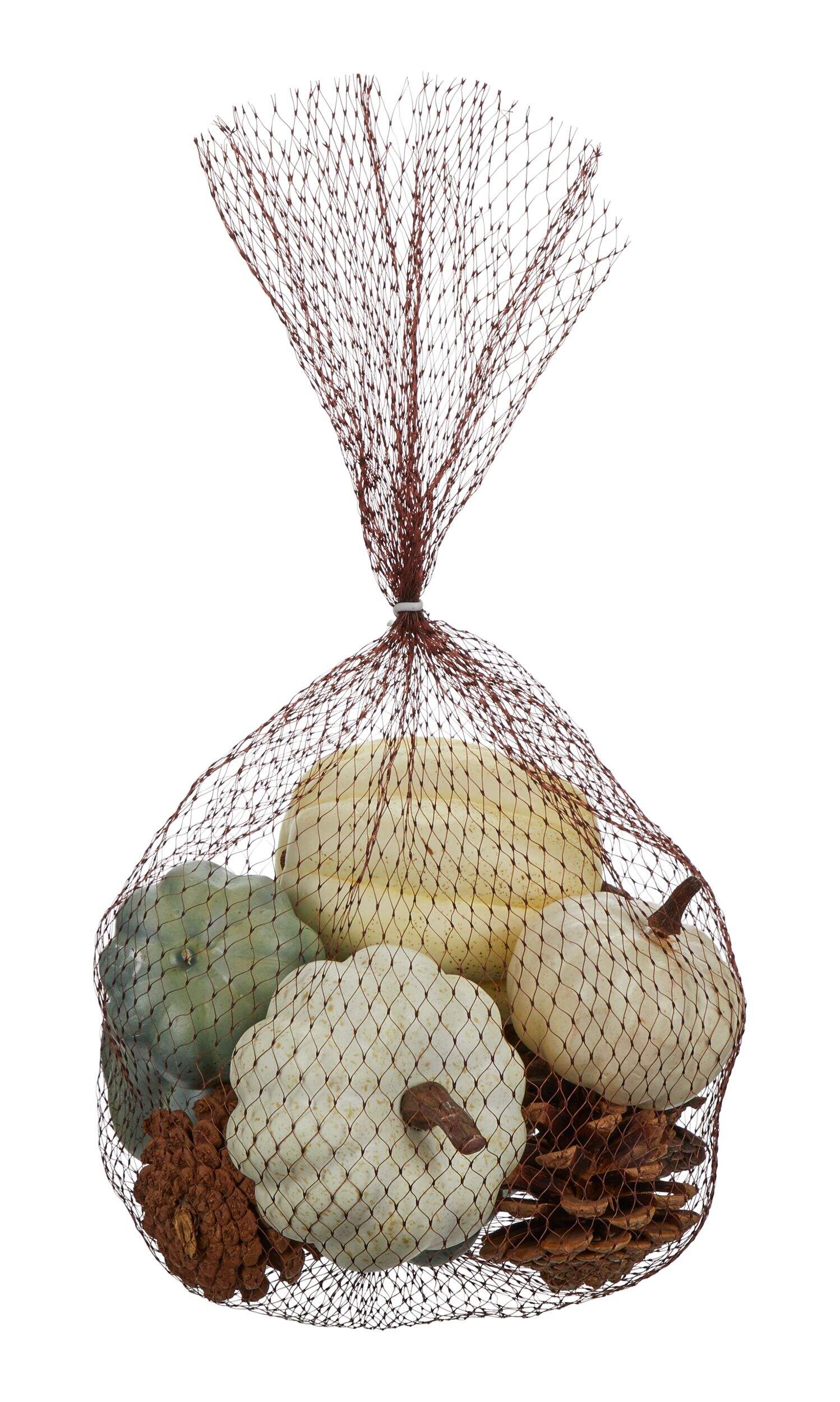 CANVAS Assorted Pumpkins & Pine Cones, Multi-Coloured, 5.5-in, 10-pk, Indoor Decoration for Fall Front_Flat