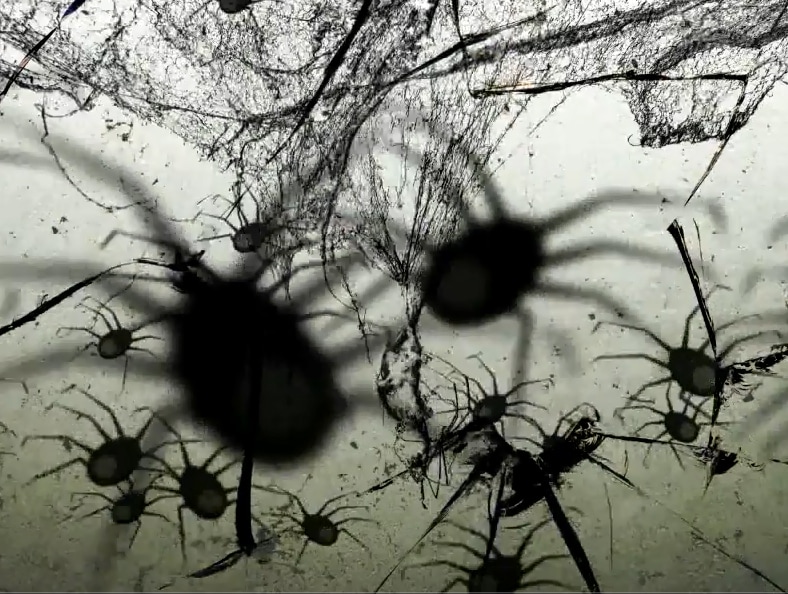 Total HomeFX Window FX Animated Holiday Projector Kit with USB Input