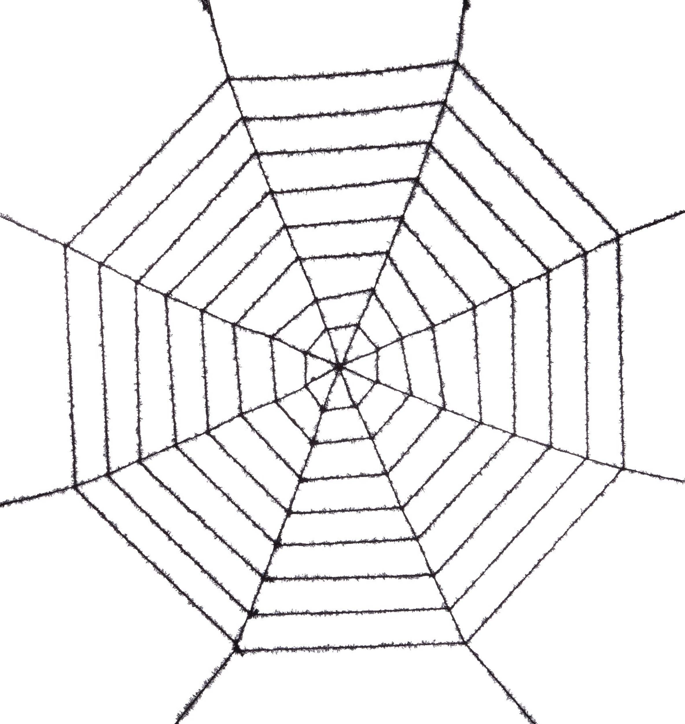 Black Spider Web, 72 in Front_Flat