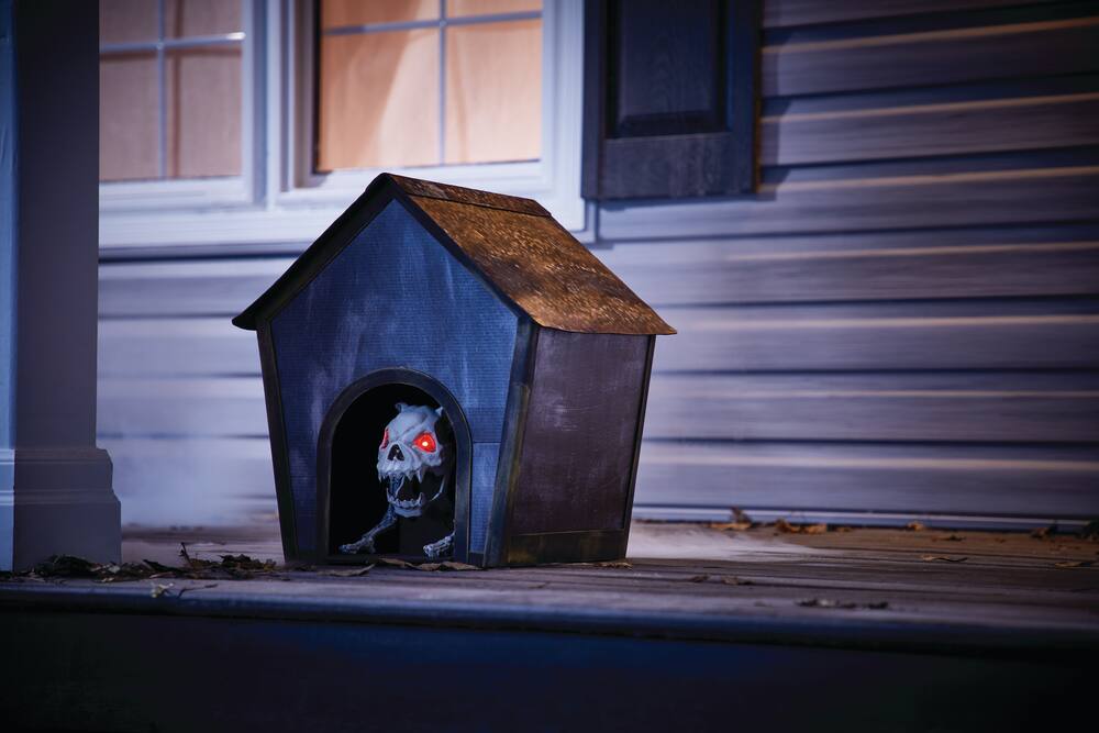 For Living Animated Dog House | Canadian Tire For Living Animated Dog House | Canadian Tire