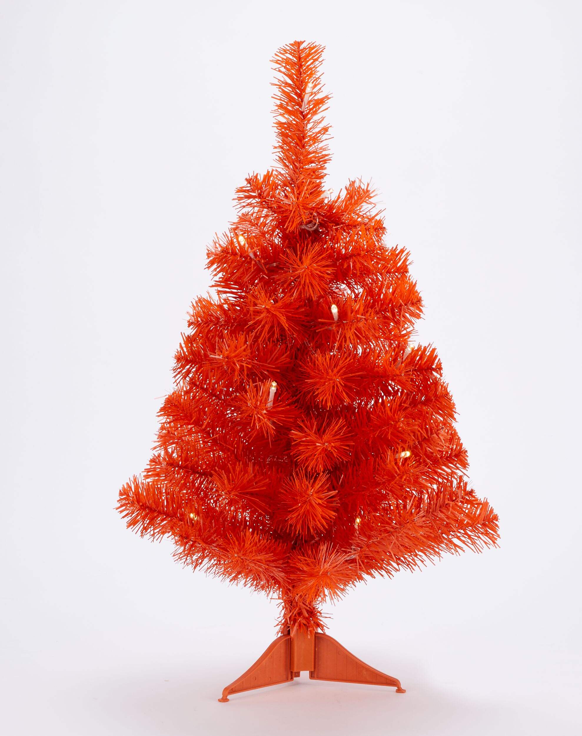 For Living Orange Tree, 2-ft Front_Flat