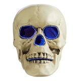 Gemmy Skull Fibre Optic LED Light-Up Prop with Batteries, White, 6-in, Light Activated Indoor Decoration for Halloween Front_Flat