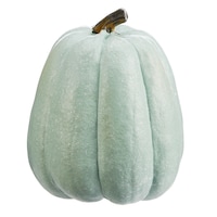 CANVAS Resin Tabletop Pumpkin, Green, 5-in, Indoor Decoration for Fall Front_Elevated