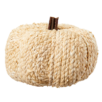 CANVAS Woven Tabletop Pumpkin, Tan, 8-in, Indoor Decoration for Fall