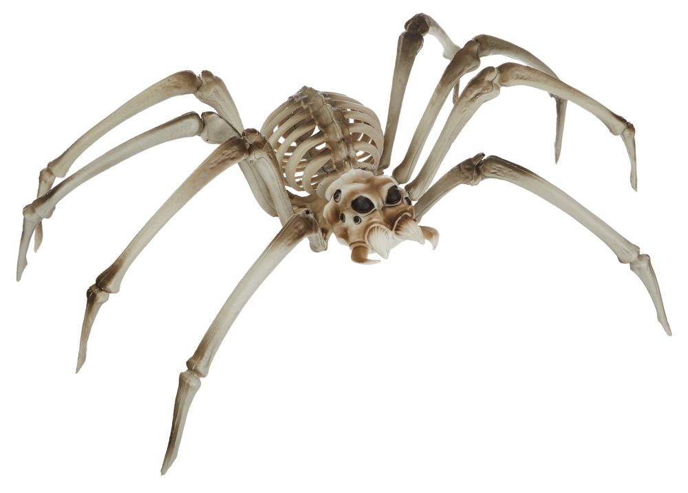 For Living Giant Skeleton Spider with Joint Legs, Scary Halloween