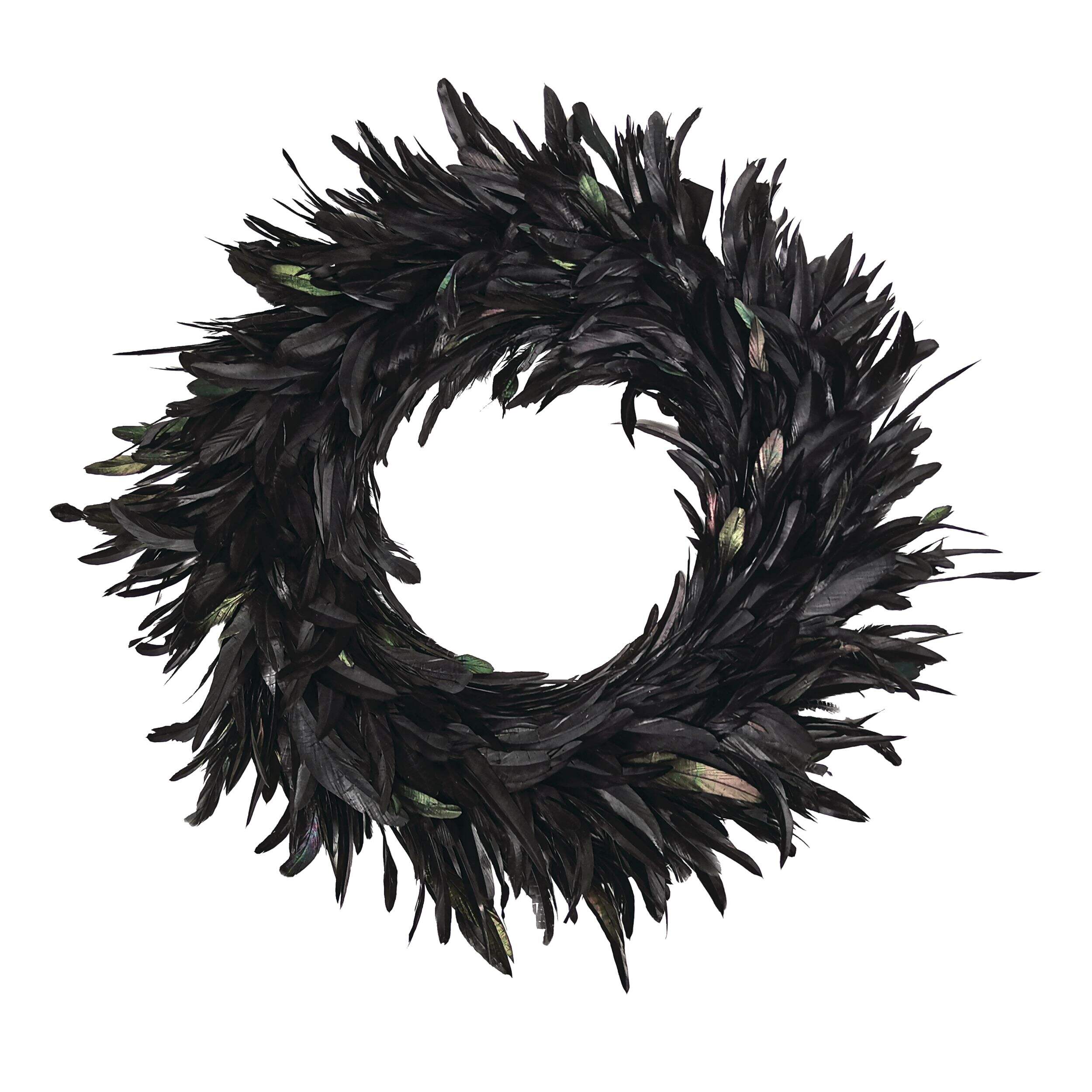 For Living 24-in Black Feather Wreath for Halloween Front_Flat