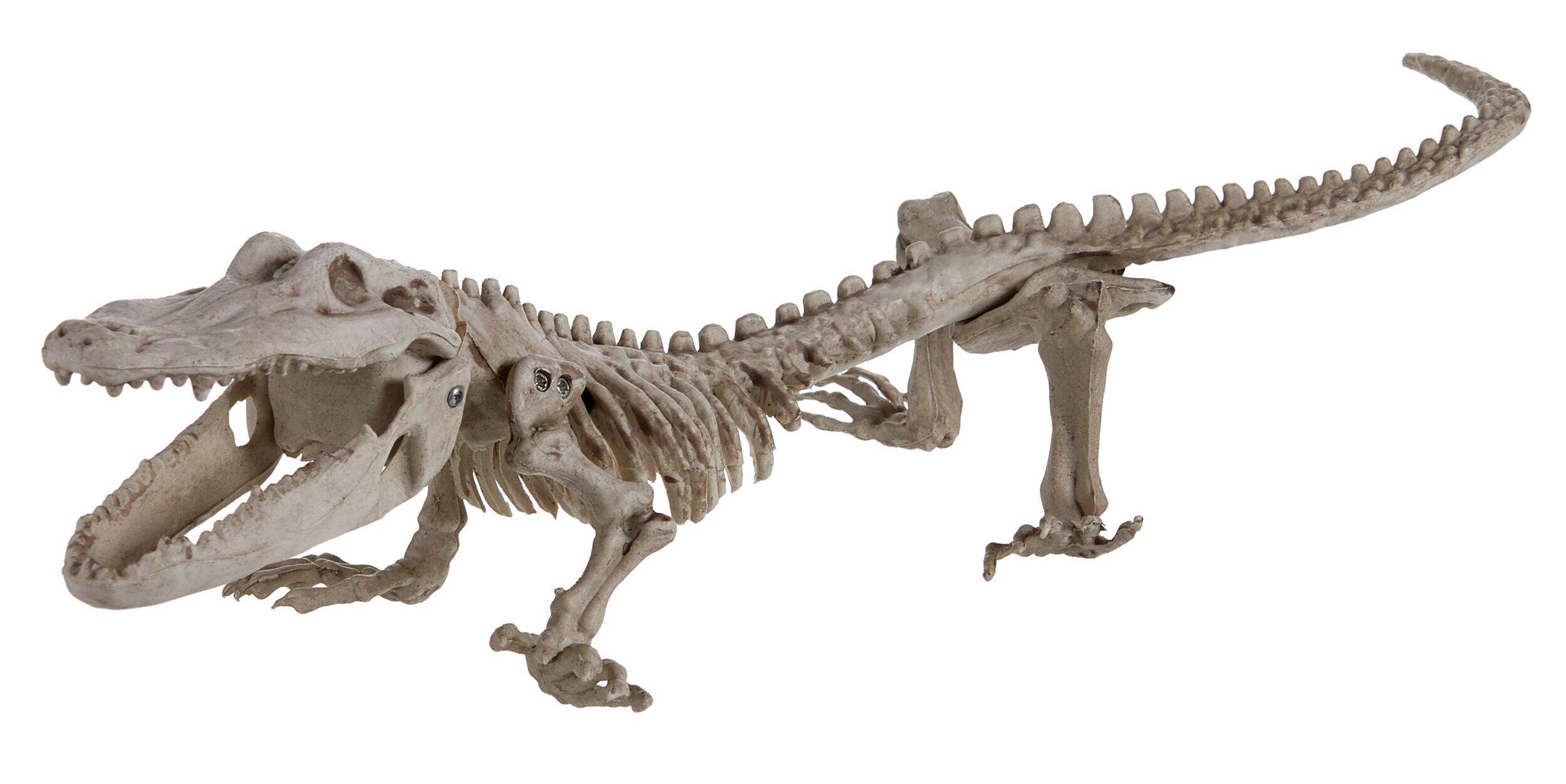 Crocodile Skeleton, White, 19-in, Indoor/Outdoor Decoration for Halloween Front_Three_Fourths_Angled_Left