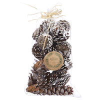 Christmas Snow-Covered Decoration Artificial Pine Cones, Assorted Shapes, 14-pc Front_Flat