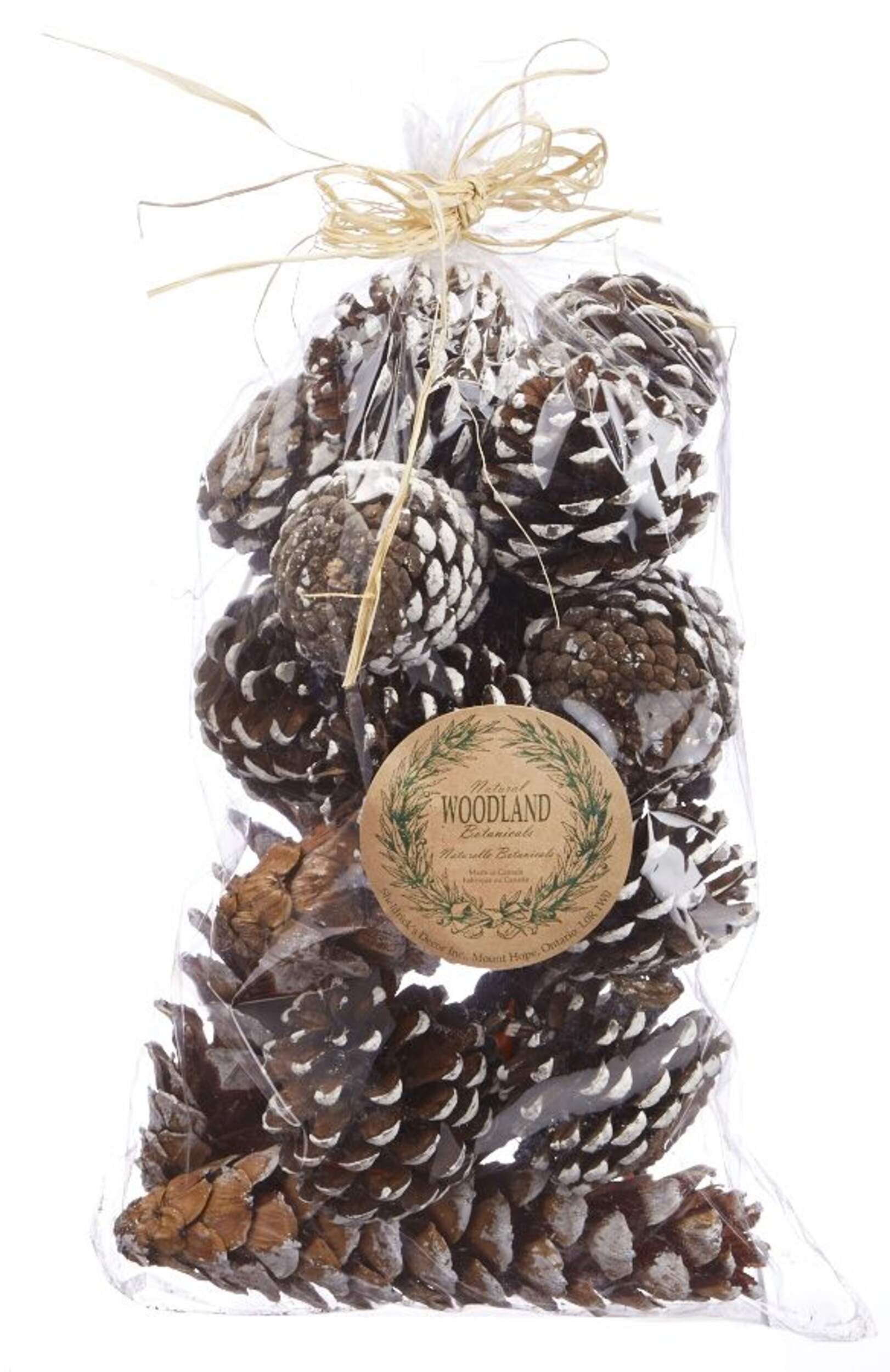 Christmas Snow-Covered Decoration Artificial Pine Cones, Assorted Shapes, 14-pc Front_Flat