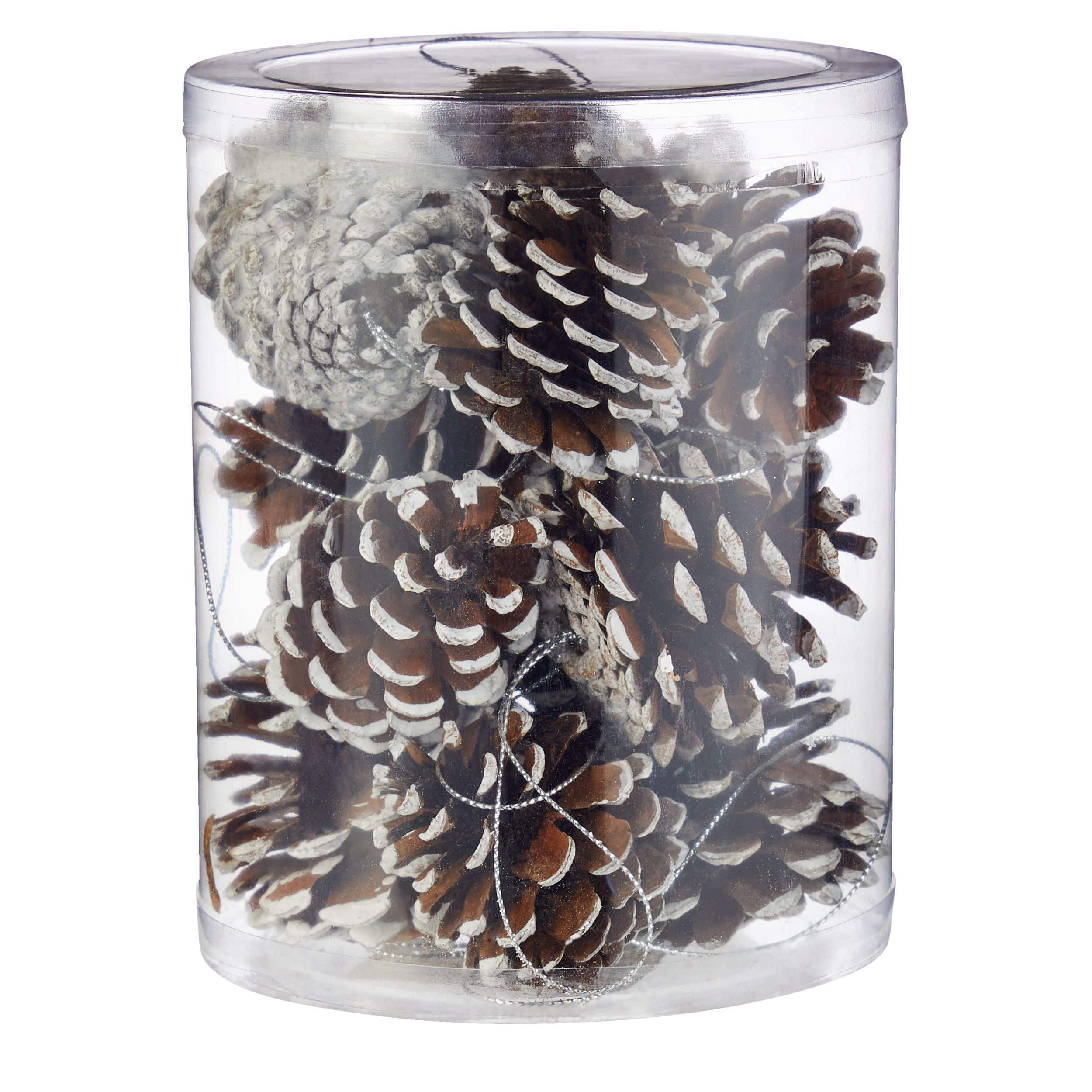 CANVAS White Collection Decoration Snowy Pinecone Christmas Ornament   White 12ct Snowy Pinecone Ff501b73 2c49 44f5 Ac18 Af8d30d997c6 Jpgrendition 