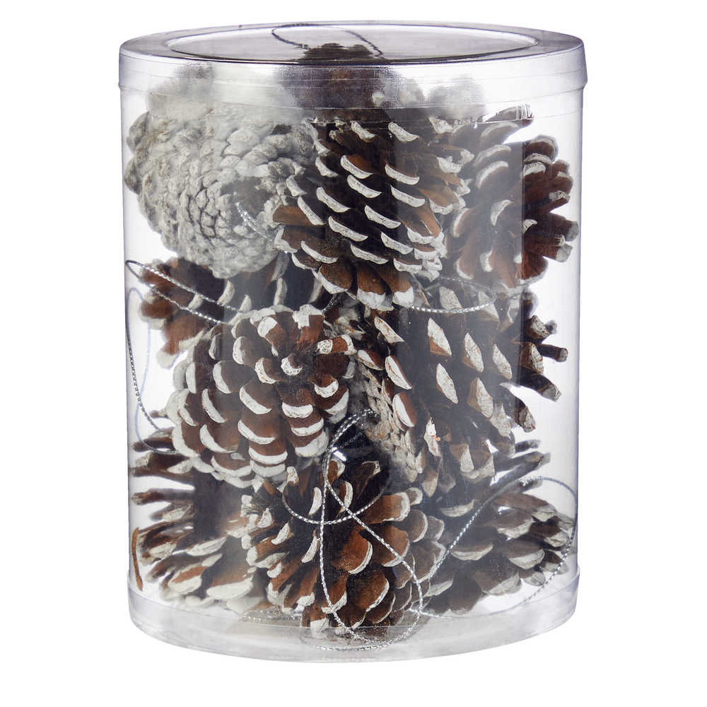 CANVAS White Collection Decoration Snowy Pinecone Christmas Ornament   White 12ct Snowy Pinecone Ff501b73 2c49 44f5 Ac18 Af8d30d997c6 