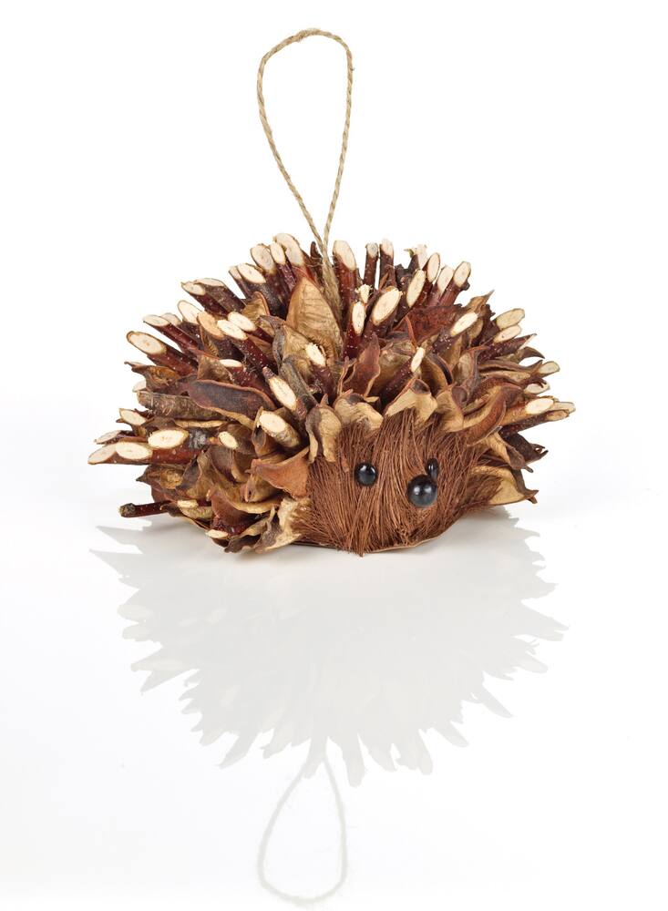 Debbie Travis Porcupine Ornament | Canadian Tire