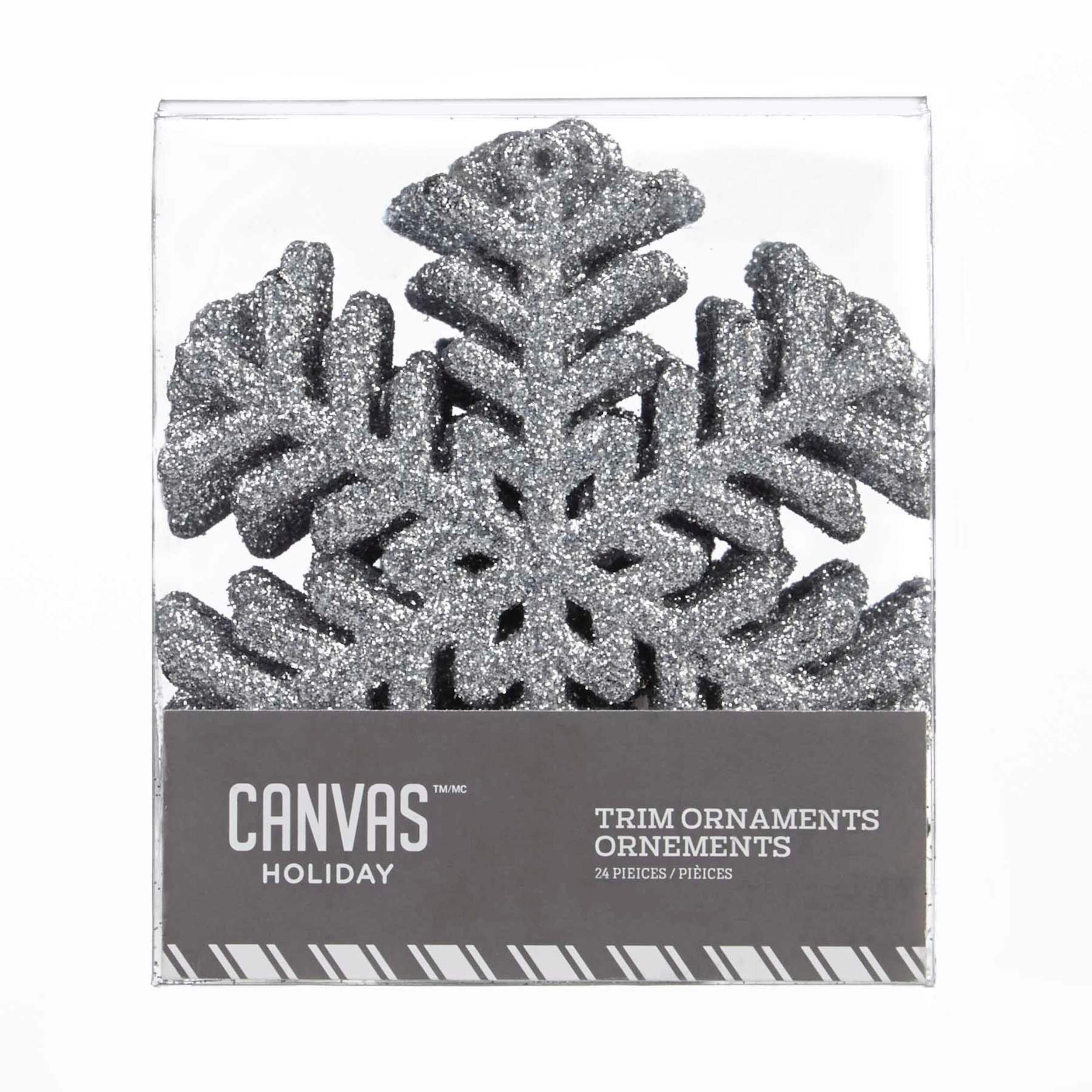 CANVAS Silver Collection Glittering Decoration Snowflake Christmas Ornament Set, 100-mm, 24-pk Front_Flat