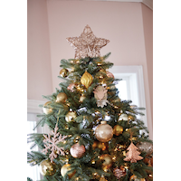 Copper Wire Star Tree Topper, 12-in Bottom_Plunge