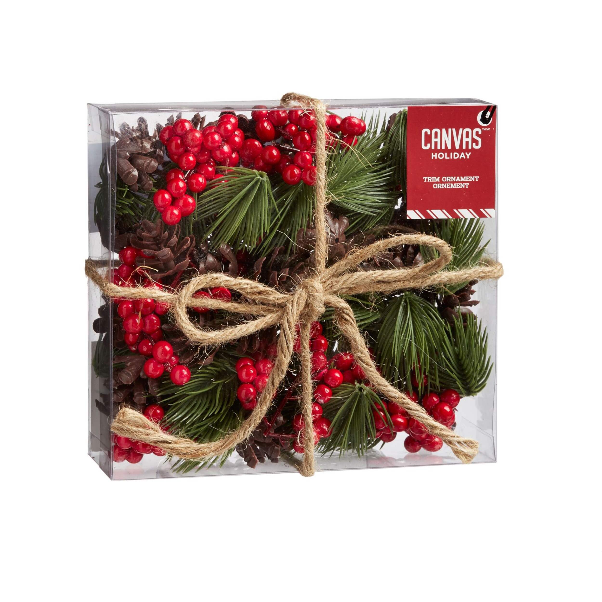 CANVAS Red Natural Acorn & Pinecone Set Front_Angled_Right