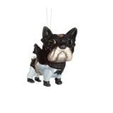 Chien super-héros en verre CANVAS, couleurs vives, choix varié Front_Angled_Right