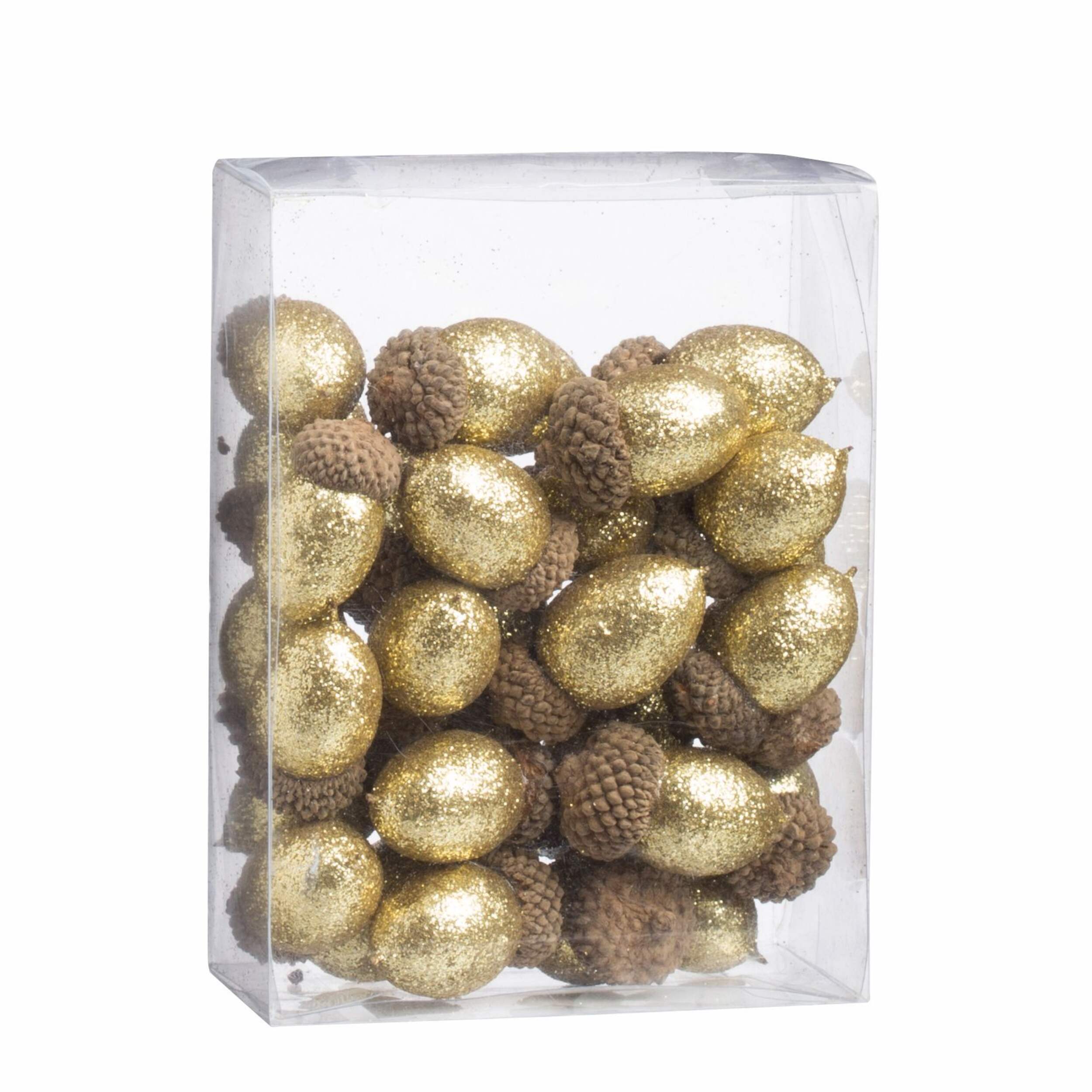 CANVAS Gold Collection Acorn Pack, Assorted Front_Angled_Right