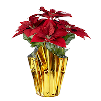 For Living Christmas Decoration Artificial Poinsettias in a Pot, Assorted Colour, 16-in Front_Elevated