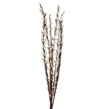 Décoration de Noël rameau à baies pour bricolage, 20 po, paq. 3 Front_Flat