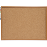 Cork Board with Push Pins, 17 x 23-in
