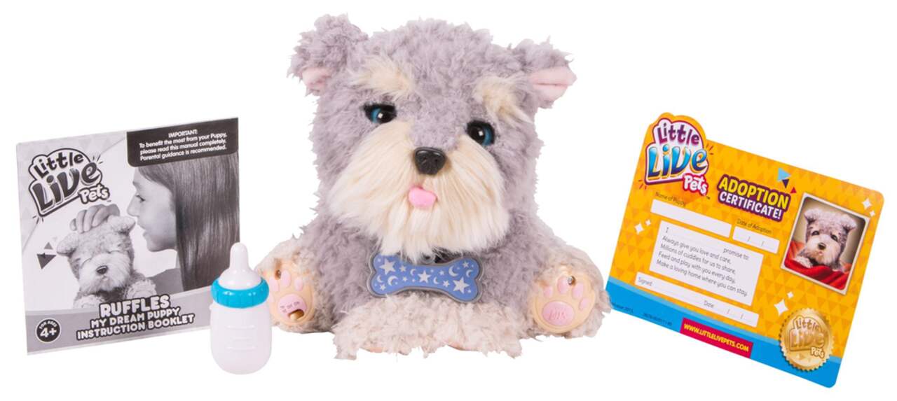 My dream puppy sales