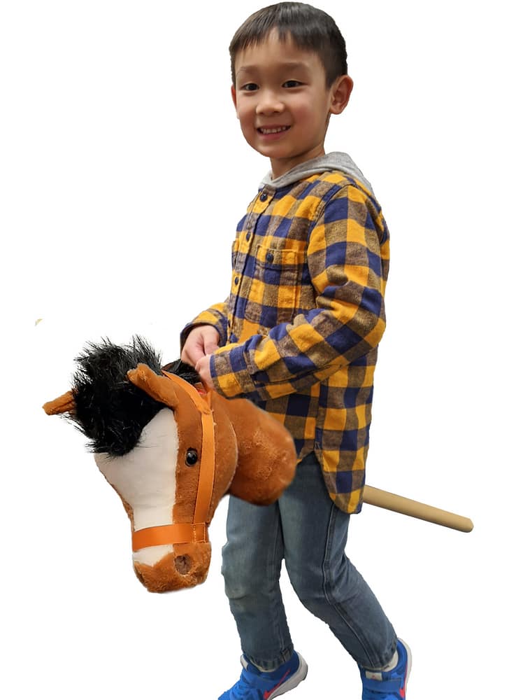 riding stick horse