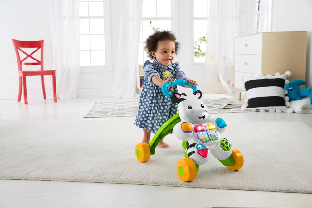 zebra push walker